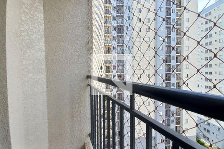 Varanda da Sala de apartamento para alugar com 2 quartos, 63m² em Vila Mimosa, Campinas