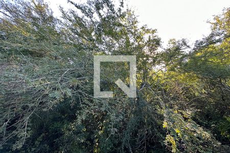 Apartamento para alugar com 60m², 1 quarto e 1 vagaÁrea Externa