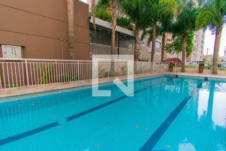 Apartamento para alugar com 64m², 3 quartos e 1 vagaÁrea comum - Piscina