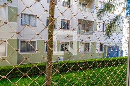 Sala de apartamento para alugar com 2 quartos, 48m² em Jardim Nova Europa, Campinas