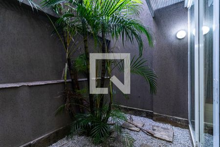 Varanda de kitnet/studio para alugar com 0 quarto, 38m² em Cambuci, São Paulo