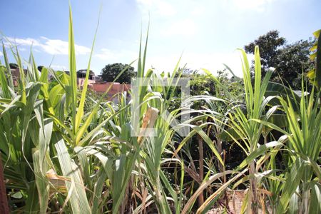 Vista da Suite de casa à venda com 3 quartos, 200m² em Jardim Leblon, Belo Horizonte