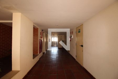 Hall de entrada de apartamento à venda com 2 quartos, 64m² em Vila Gustavo, São Paulo
