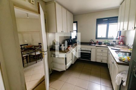 Apartamento para alugar com 280m², 4 quartos e 4 vagas Apartamento para alugar com 280m², 4 quartos e 4 vagasCozinha - Armários