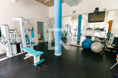 Apartamento para alugar com 280m², 4 quartos e 4 vagas Apartamento para alugar com 280m², 4 quartos e 4 vagasÁrea comum - Academia