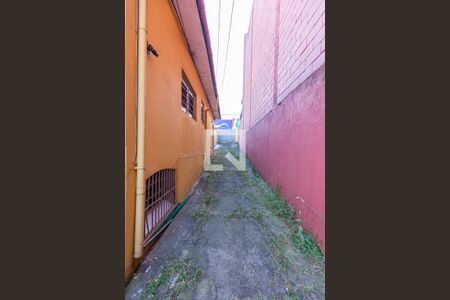 Quintal de casa para alugar com 2 quartos, 83m² em Vila Pires, Santo André