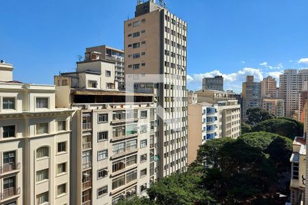 Vista de apartamento para alugar com 1 quarto, 40m² em Santa Efigênia, São Paulo