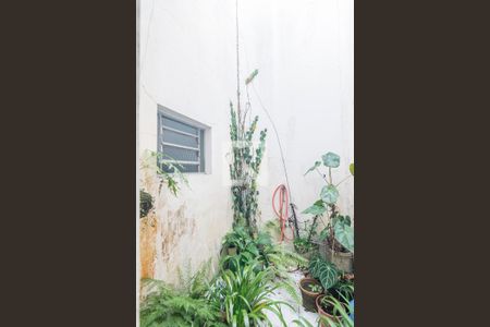 Casa à venda com 239m², 3 quartos e 4 vagasJardim de Inverno Edícula