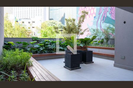 Studio para alugar com 21m², 1 quarto e sem vaga Studio para alugar com 21m², 1 quarto e sem vagaPet Place