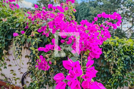 Casa para alugar com 500m², 4 quartos e 2 vagasSuite - Varanda