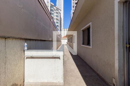 Casa para alugar com 300m², 3 quartos e sem vagaQuintal
