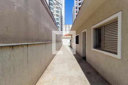 Casa para alugar com 300m², 3 quartos e sem vagaQuintal