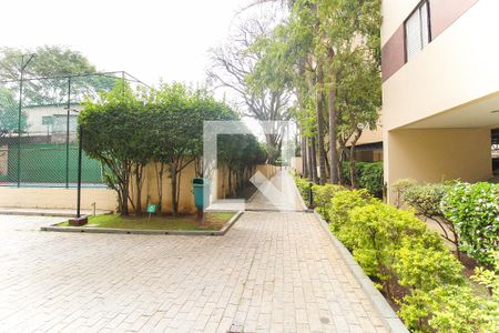 Área Comum de apartamento para alugar com 2 quartos, 45m² em Vila Taquari, São Paulo