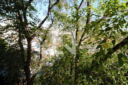 Apartamento à venda com 96m², 4 quartos e 1 vagaVista do Quarto 2  
