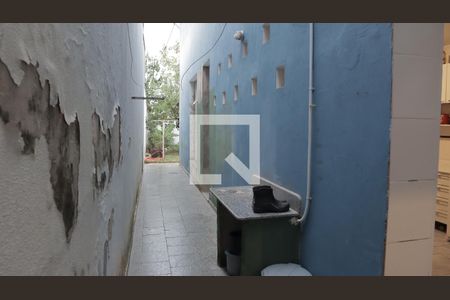 Casa para alugar com 35m², 6 quartos e sem vagaQuintal