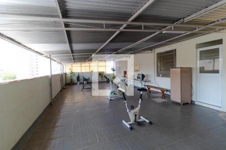 Apartamento para alugar com 145m², 3 quartos e sem vagaÁrea comum -Terraço