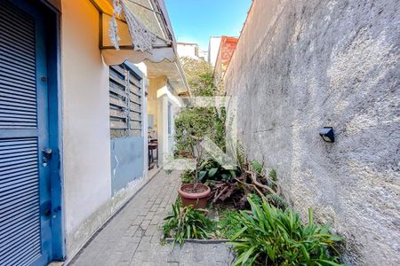 Casa para alugar com 149m², 3 quartos e 1 vagaQuintal