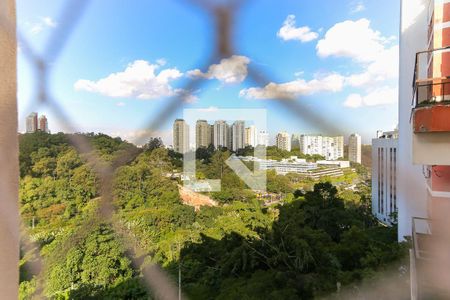 Vista da Varanda de apartamento para alugar com 2 quartos, 60m² em Jardim Ampliação, São Paulo