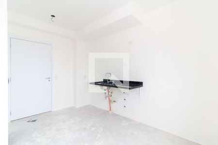 Cozinha de apartamento para alugar com 0 quarto, 22m² em Belenzinho, São Paulo