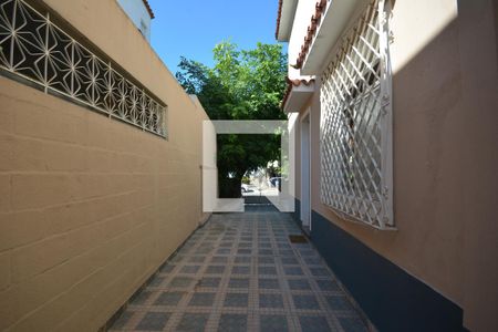 Apartamento para alugar com 120m², 3 quartos e 3 vagasQuintal