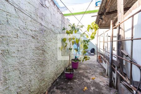 Casa para alugar com 60m², 2 quartos e sem vagaQuintal