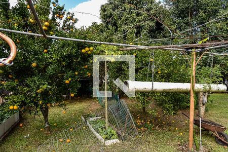 Casa à venda com 297m², 4 quartos e 2 vagasQuintal