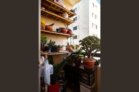 Varanda de apartamento para alugar com 2 quartos, 55m² em Parque Imperial, São Paulo