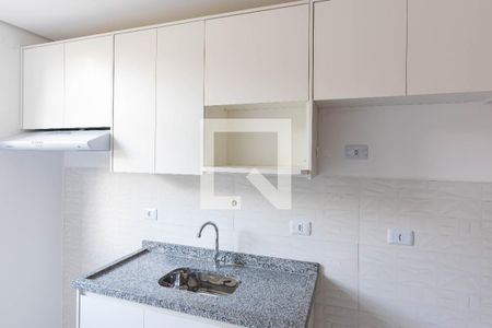 Apartamento para alugar com 47m², 1 quarto e 1 vagaCozinha - Armários