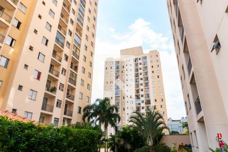 Apartamento à venda com 56m², 3 quartos e 1 vagaFachada do condomínio