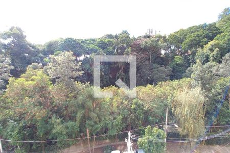 Vista da Sala  de apartamento à venda com 1 quarto, 52m² em Jardim Paraíso, Campinas