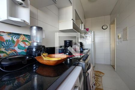 Apartamento à venda com 57m², 2 quartos e 1 vagaCozinha - Armários