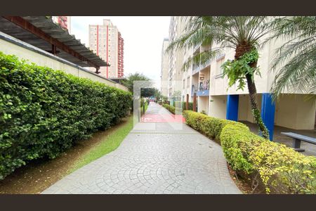 Área Comum de apartamento à venda com 3 quartos, 62m² em Jardim São Savério, São Paulo