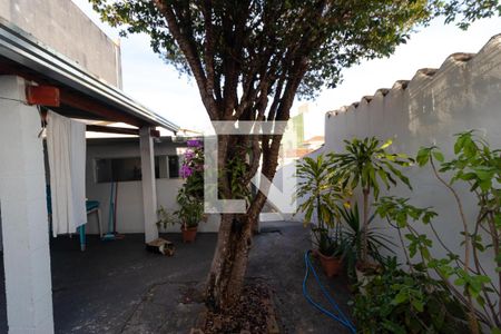 Casa à venda com 450m², 5 quartos e 3 vagasQuintal