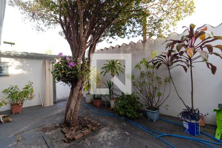 Casa à venda com 450m², 5 quartos e 3 vagasQuintal