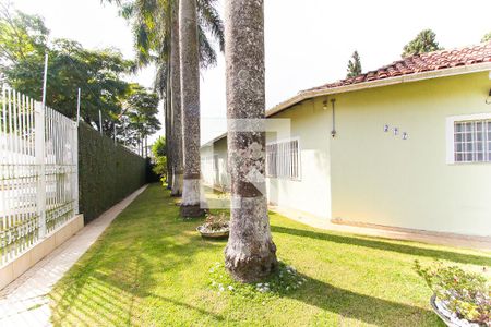 Quintal de casa para alugar com 3 quartos, 600m² em Vila Romanópolis, Ferraz de Vasconcelos