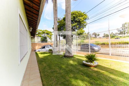 Casa para alugar com 600m², 3 quartos e 6 vagasQuintal