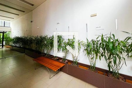 Apartamento para alugar com 62m², 1 quarto e 1 vagaHall