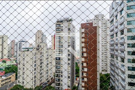 Vista de apartamento à venda com 2 quartos, 100m² em Paraíso, São Paulo