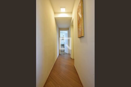 Corredor  de apartamento à venda com 2 quartos, 56m² em Jardim Aeroporto, São Paulo