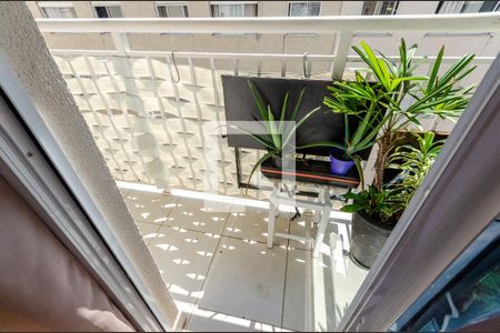 Sala - Sacada de apartamento para alugar com 1 quarto, 31m² em Vila Palmeiras, São Paulo