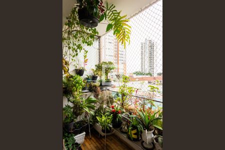 Sacada de apartamento à venda com 3 quartos, 133116m² em Cidade Mãe do Céu, São Paulo