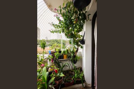 Sacada de apartamento à venda com 3 quartos, 133116m² em Cidade Mãe do Céu, São Paulo