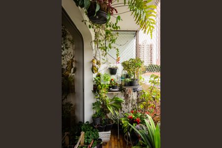 Sacada de apartamento à venda com 3 quartos, 133116m² em Cidade Mãe do Céu, São Paulo