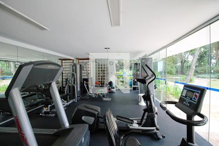 Apartamento para alugar com 550m², 3 quartos e 3 vagasÁrea comum - Academia