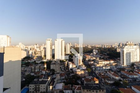 Apartamento para alugar com 33m², 1 quarto e 1 vagaVista da Varanda