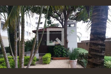 Apartamento à venda com 3 quartos, 57m² em Parque Italia, Campinas