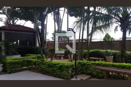 Apartamento à venda com 3 quartos, 57m² em Parque Italia, Campinas