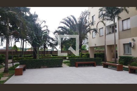 Apartamento à venda com 3 quartos, 57m² em Parque Italia, Campinas