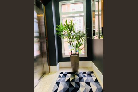 Apartamento à venda com 3 quartos, 213m² em Cambuí, Campinas