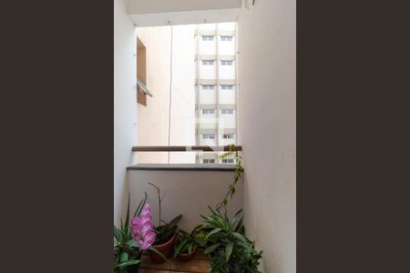 Sacada de apartamento para alugar com 1 quarto, 58m² em Centro, Campinas